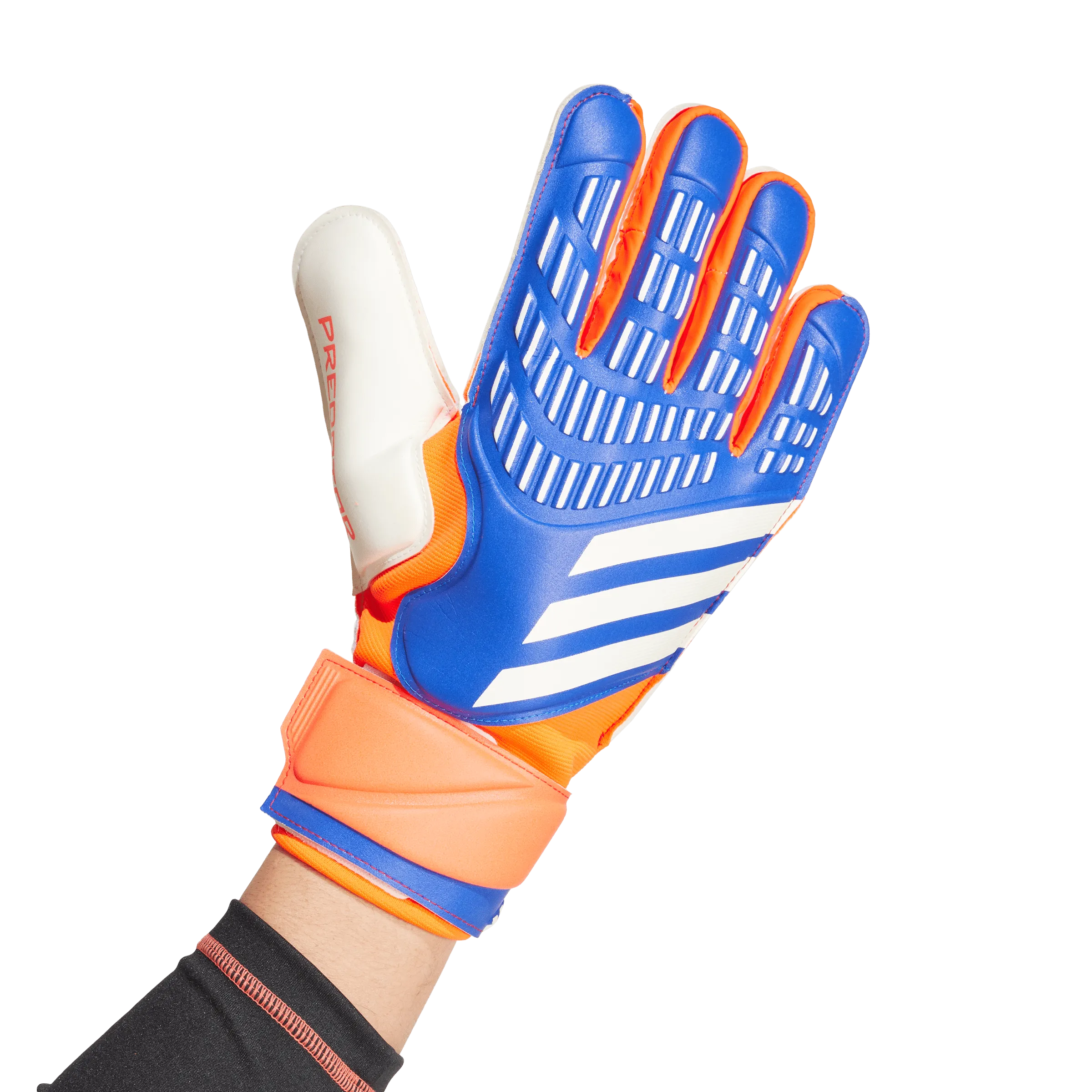 Adidas Predator Match Goalkeeper Gloves - Advancement Pack